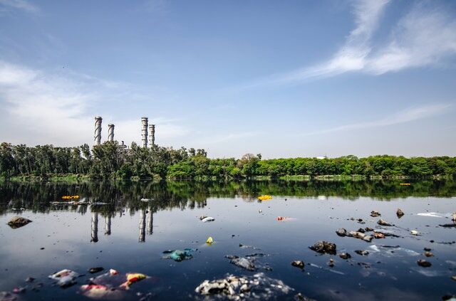Waste and Pollution: How You Can Contribute to Sustainability